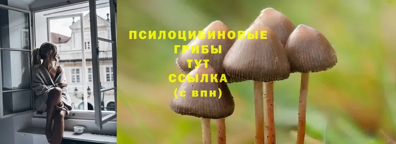 Псилоцибиновые грибы MAGIC MUSHROOMS Бикин